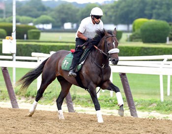Dwyer Stakes