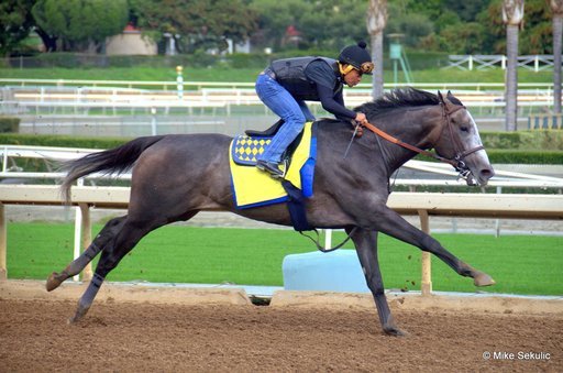 San Diego Handicap