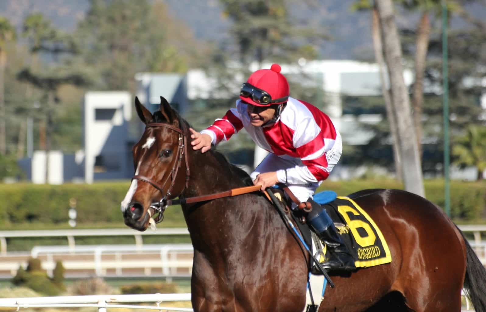 Delaware Handicap
