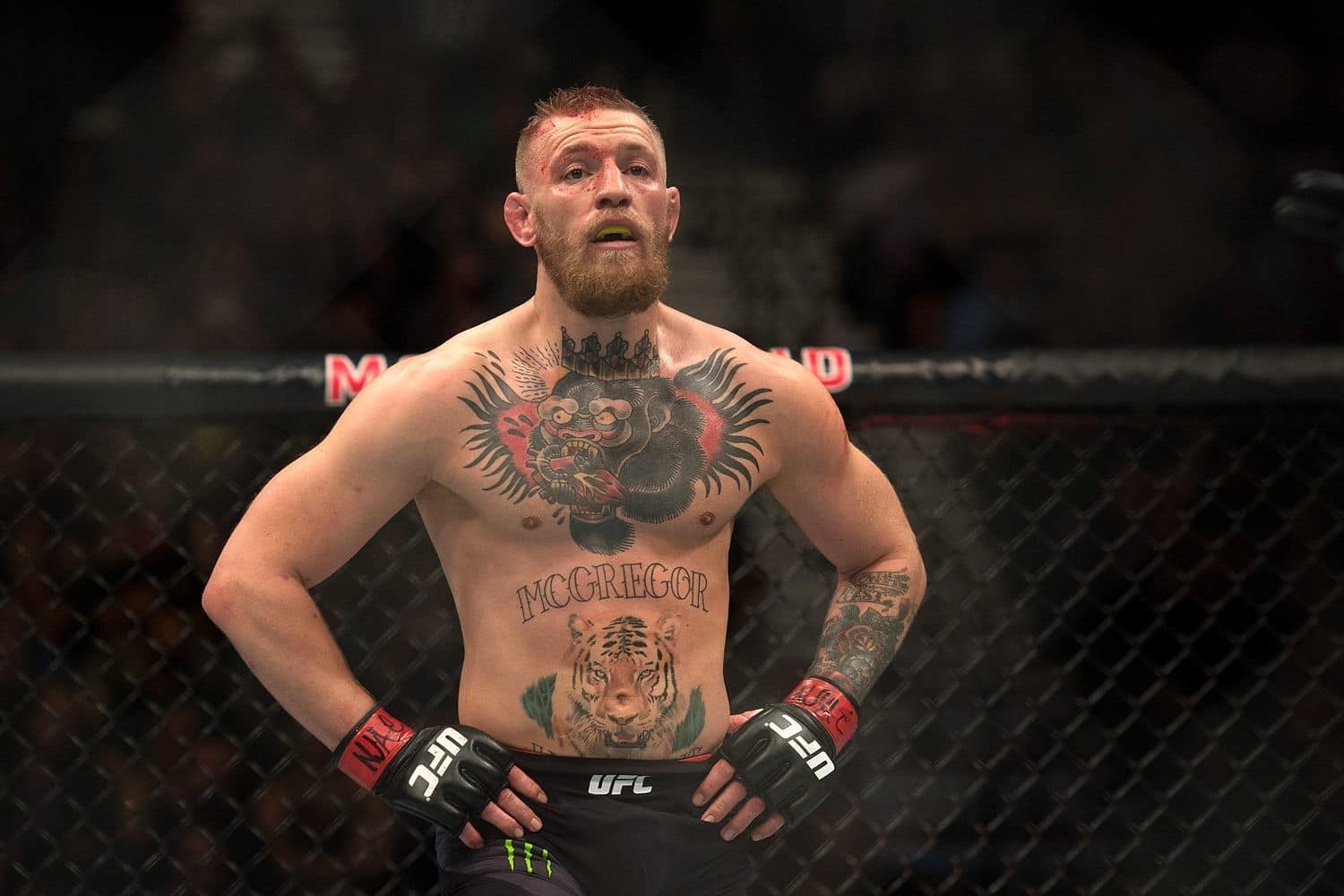 Conor McGregor Knocked Out