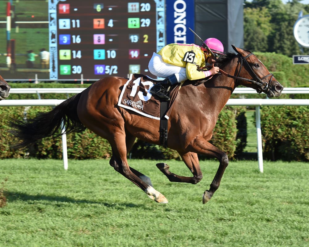 New York-bred stars