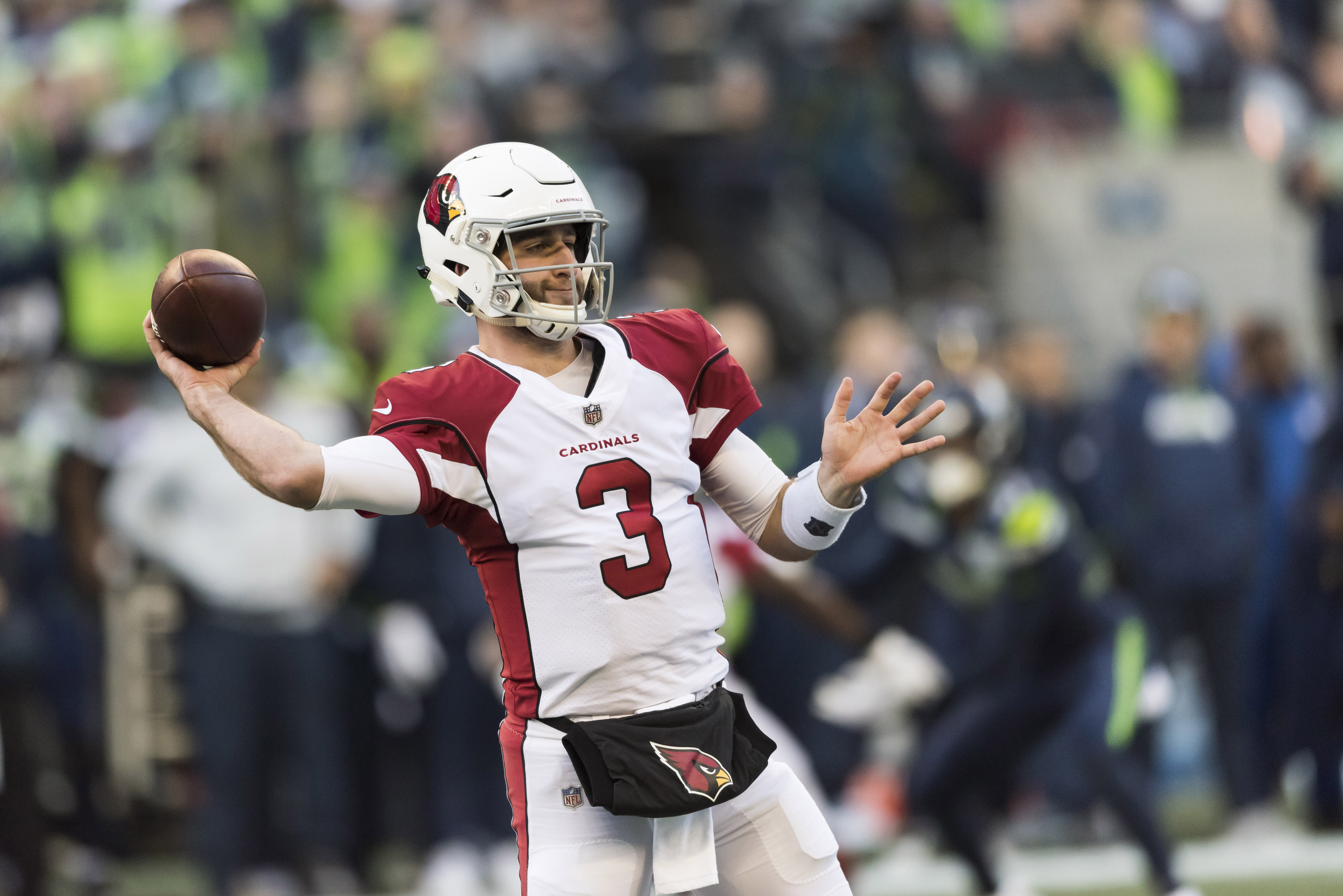 Josh Rosen Dolphins