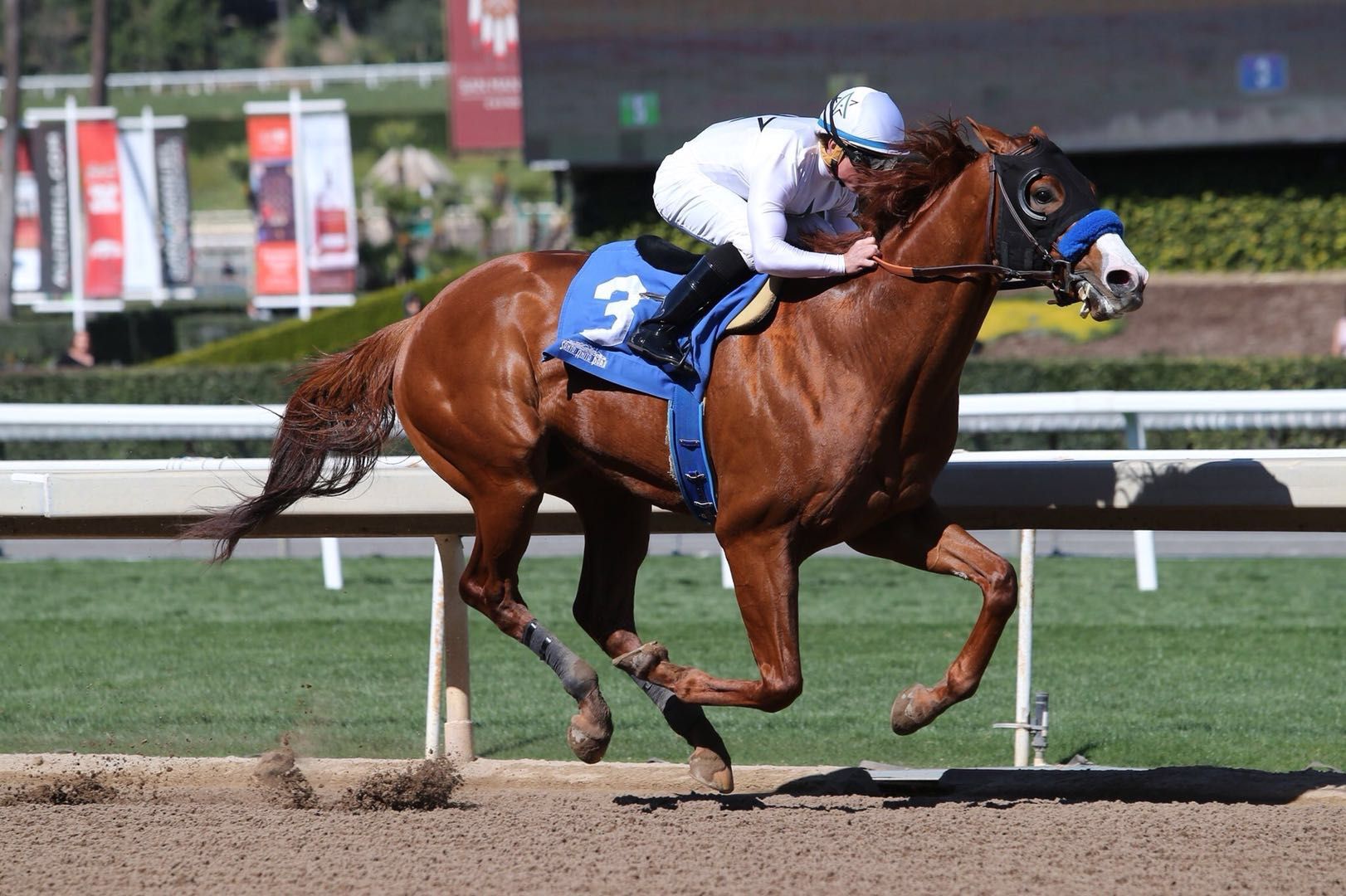 Justify horse, Justify, Bob Baffert, Audible , Audible horse ,Todd Pletcher, Mendelssohn, Mendelssohn horse, Aidan O’Brien, Magnum Moon , Magnum Moon horse, Bolt d’Oro