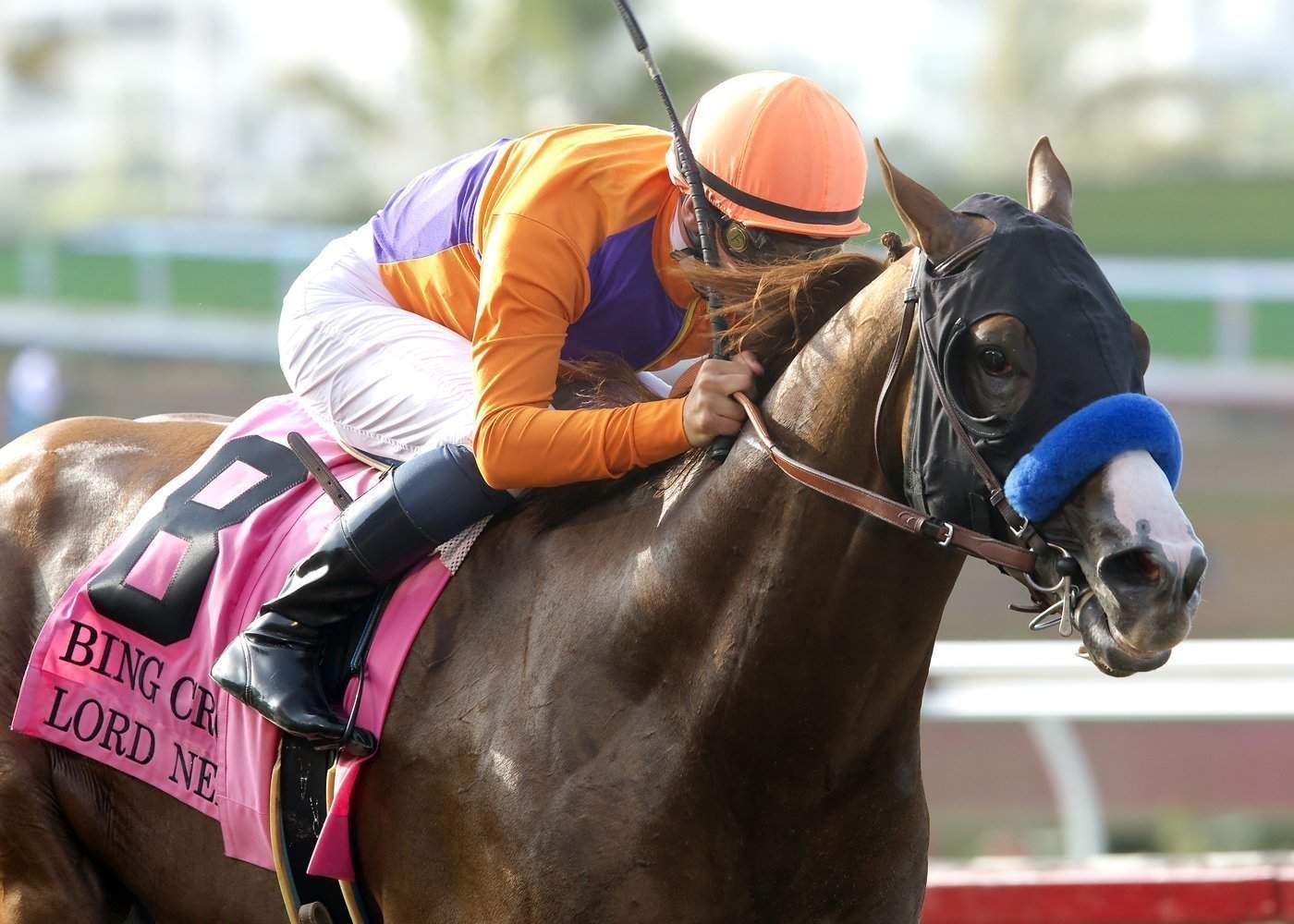 Jockeys must learn quickly
