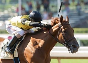 jockey Evin Roman