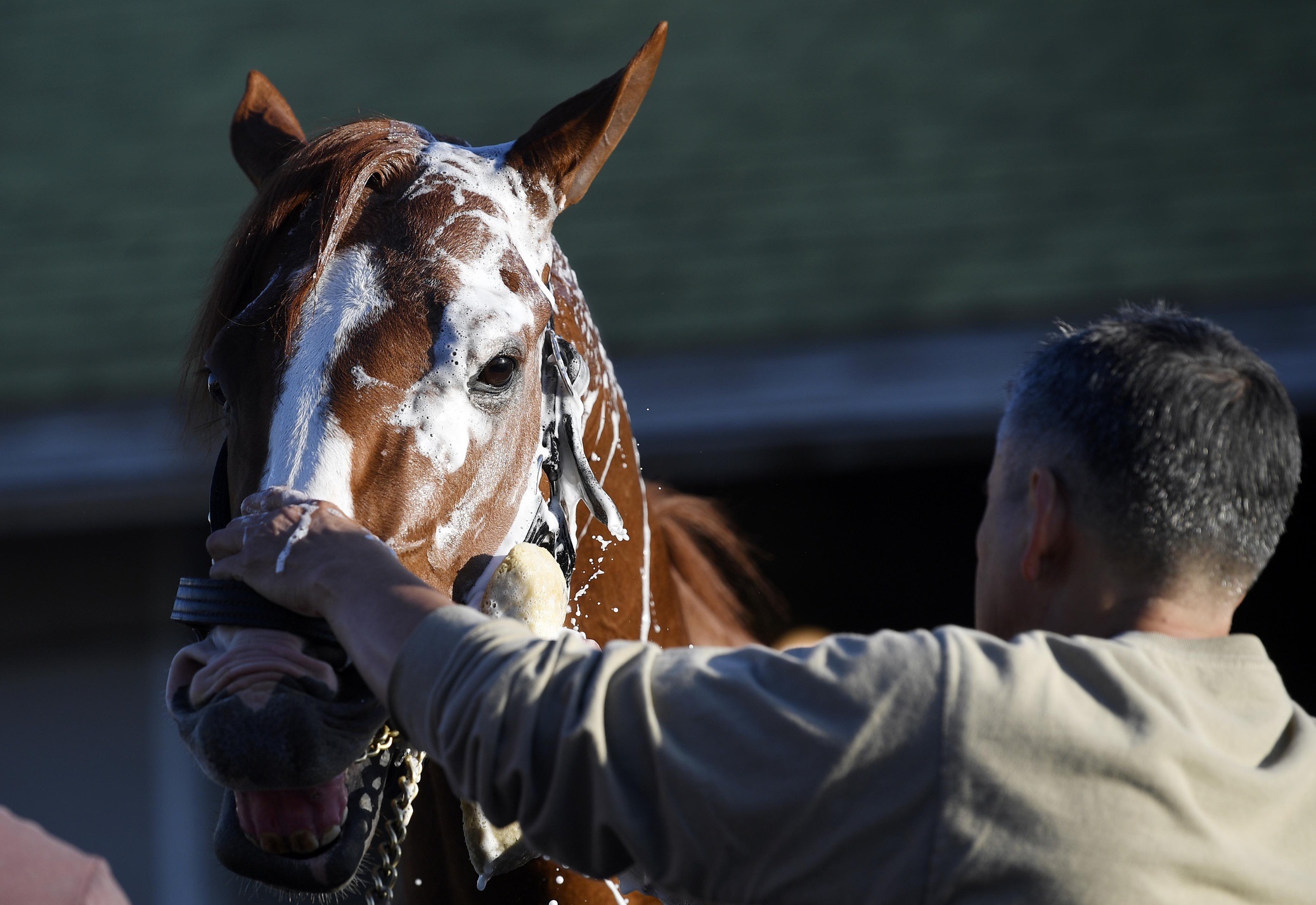 Justify